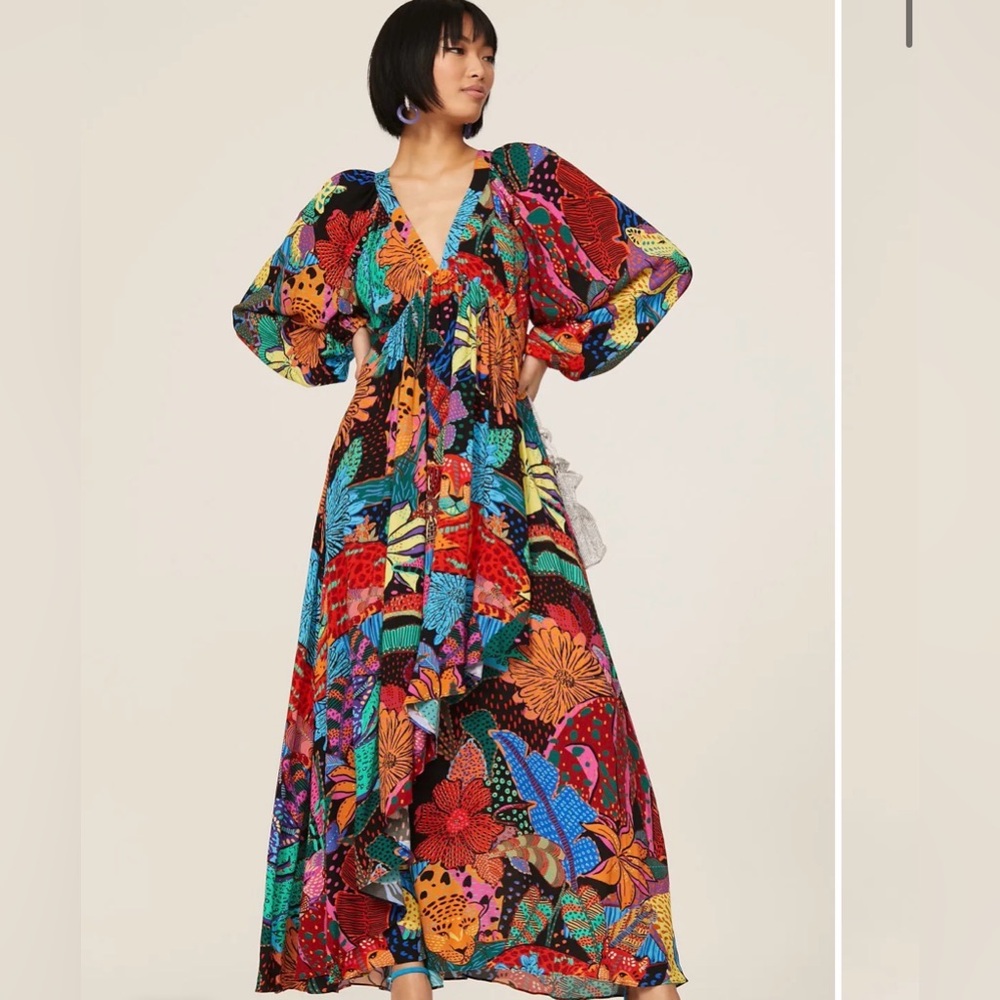 FARM Rio Multicolor Floral Maxi Dress - Picture 4 of 12